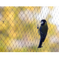 Ausgezeichnete Qualität Schutz neue pe gegen Vogelnetz